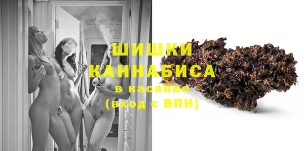 гашик Белокуриха