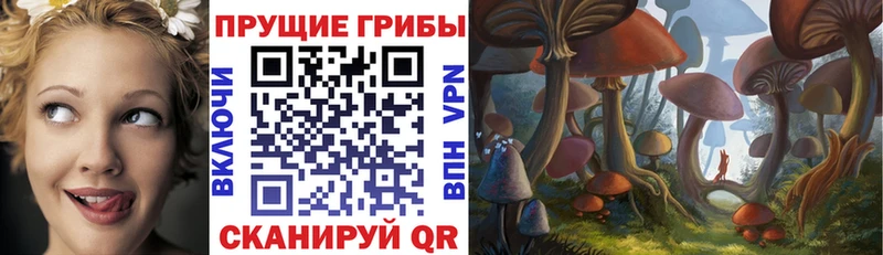 Галлюциногенные грибы GOLDEN TEACHER  Кондрово 